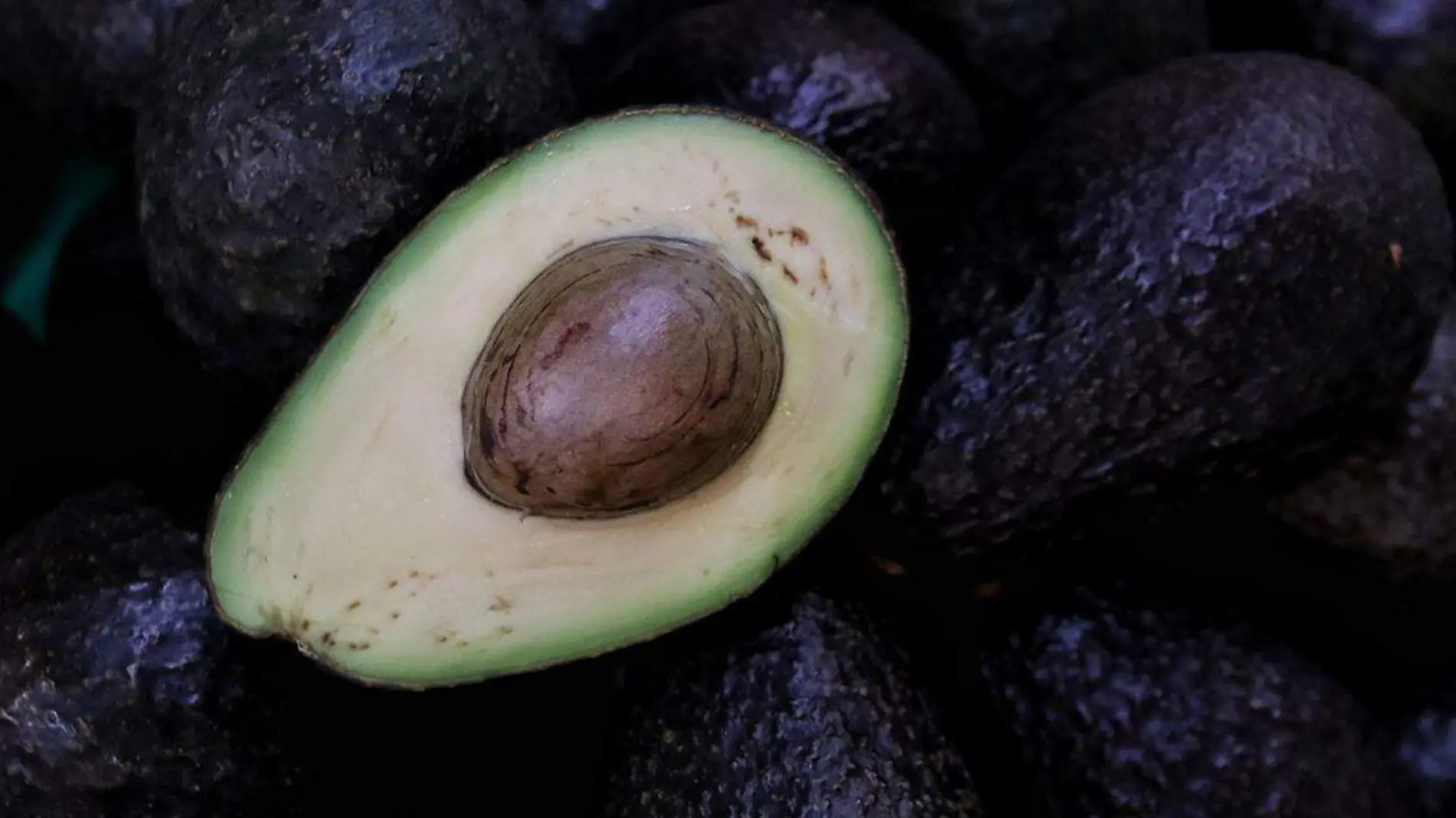 El aguacate es uno de los productos de la naturaleza que más le agrada a las personas